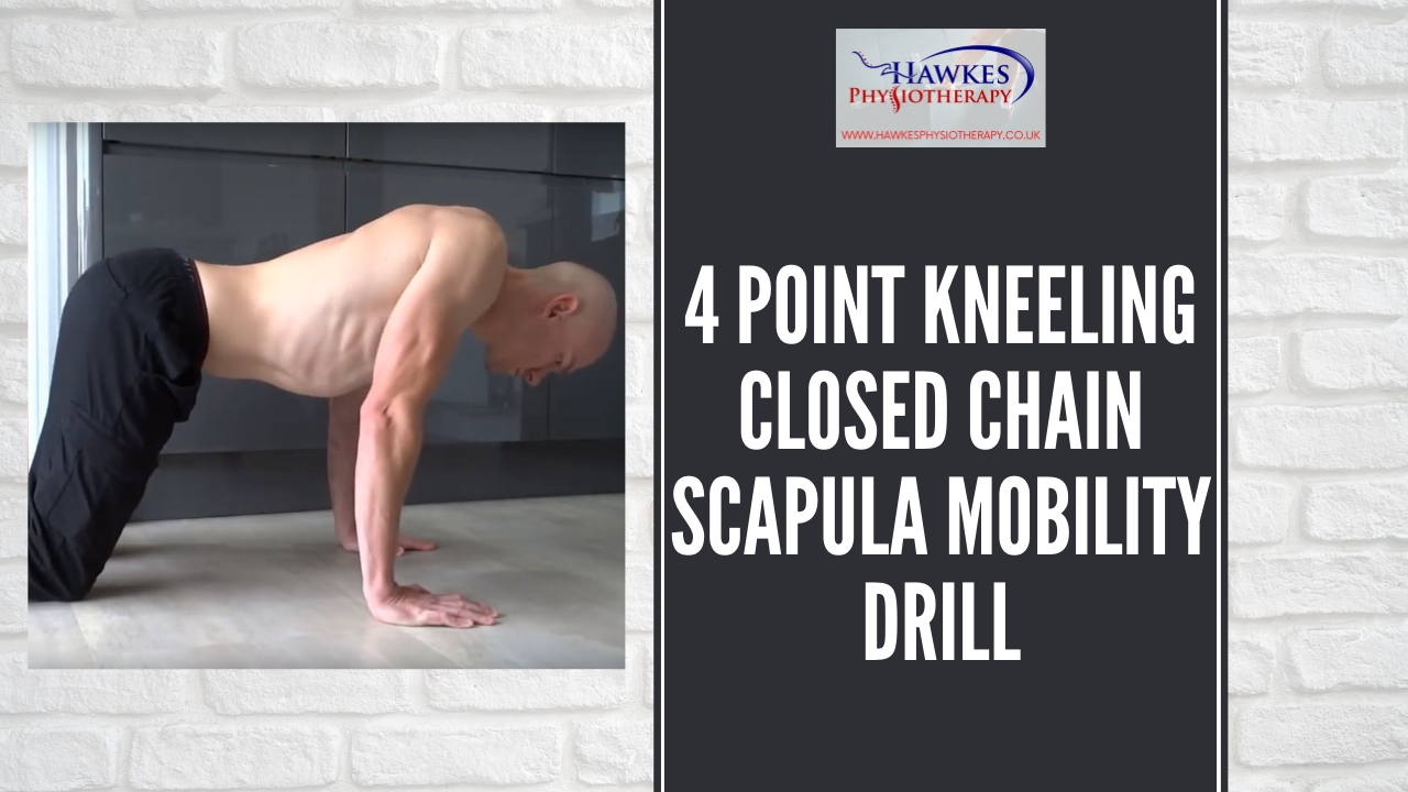 4 point kneeling closed chain scapula mobility drill Hawkes Physiotherapy