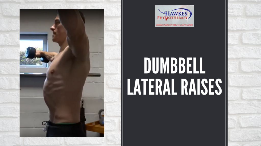 Dumbbell Lateral Raises