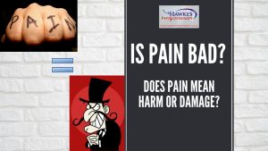 Is pain bad Does pain mean harm or damage