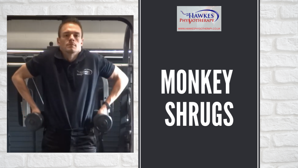 Monkey Shrugs