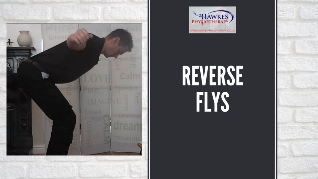 Reverse flys