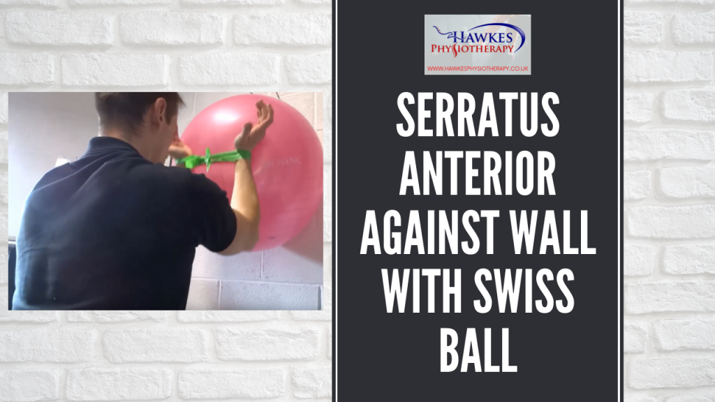 Serratus Anterior against wall with swiss ball