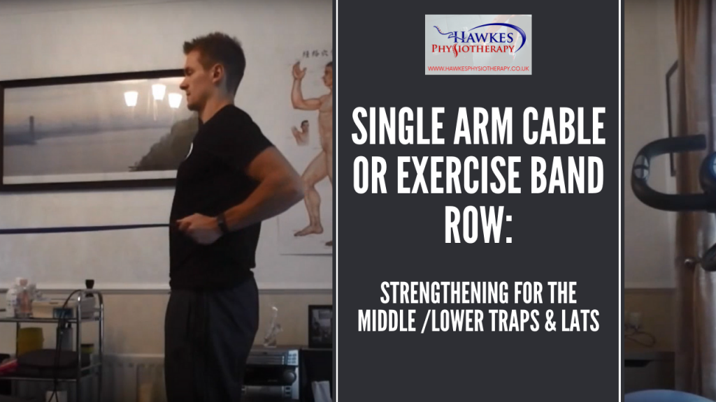 Single arm cable or exercise band row