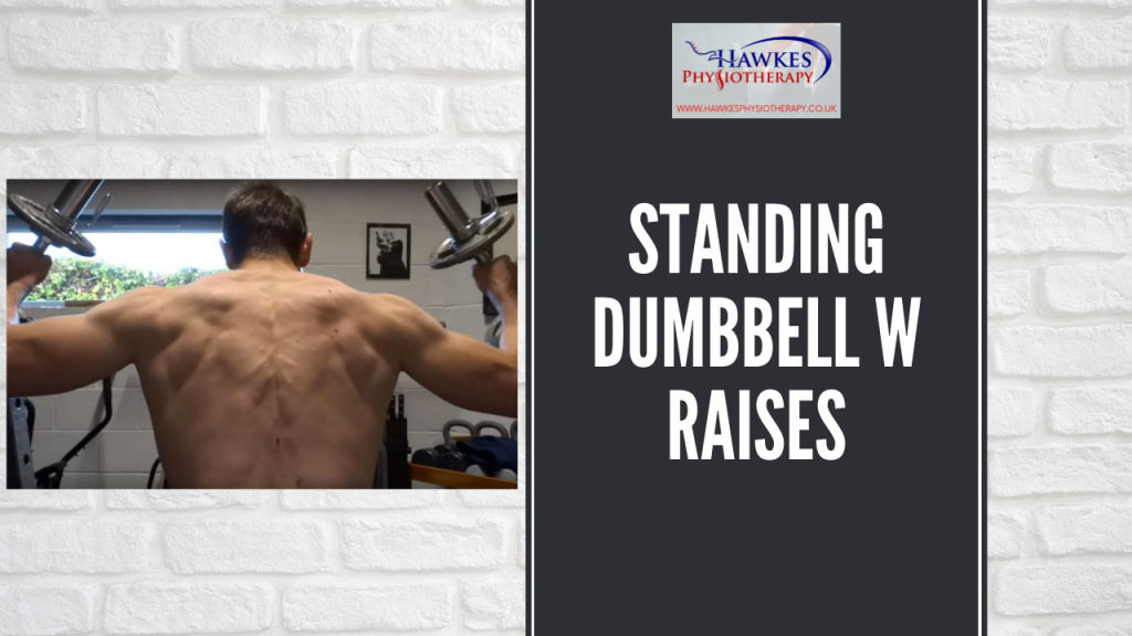 Standing dumbbell W raises