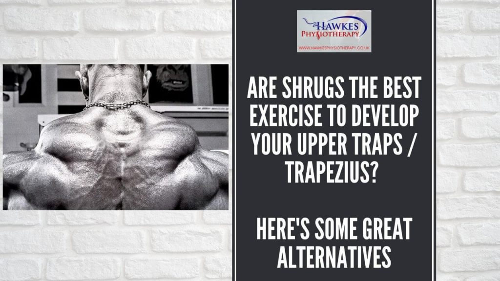 are-shrugs-the-best-exercise-to-develop-your-upper-traps-trapezius-heres-some-great-alternatives