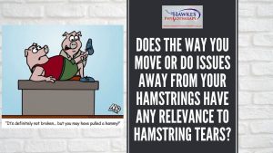 does-the-way-you-move-or-do-issues-away-from-your-hamstrings-have-any-relevance-to-hamstring-tears