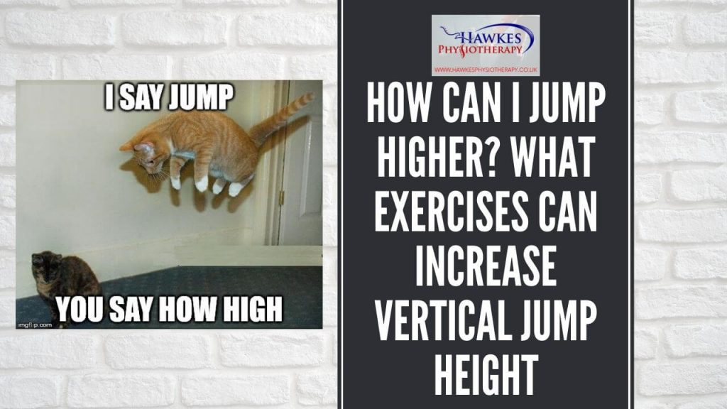how-can-i-jump-higher-what-exercises-can-increase-vertical-jump-height