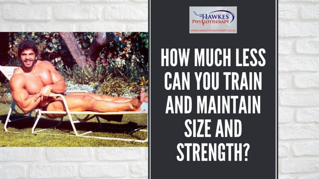 how-much-less-can-you-train-and-maintain-size-and-strength