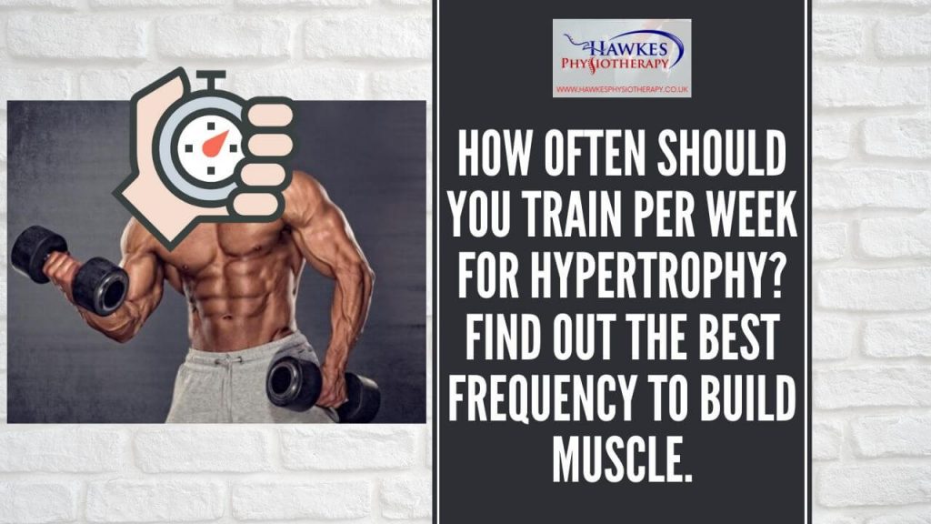 how-often-should-you-train-per-week-for-hypertrophy-find-out-the-best-frequency-to-build-muscle