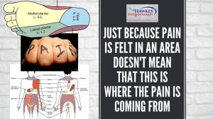 just-because-pain-is-felt-in-an-area-doesnt-mean-that-this-is-where-the-pain-is-coming-from