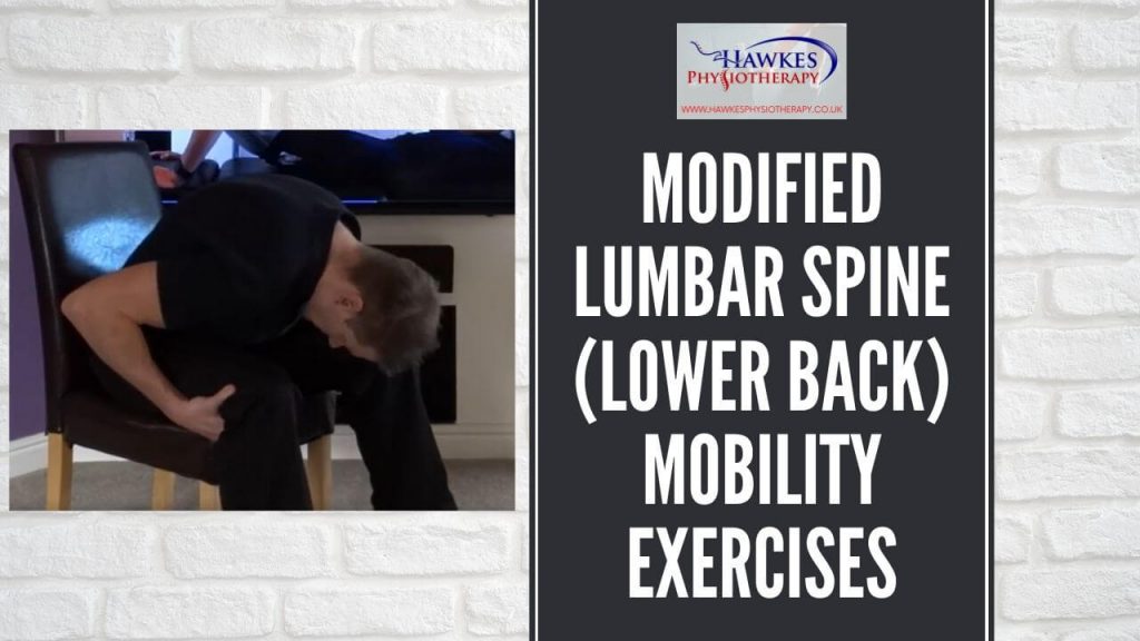modified-lumbar-spine-lower-back-mobility-exercises