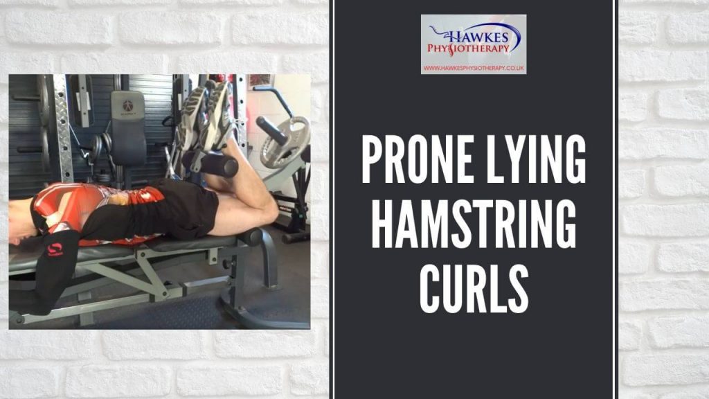 prone-lying-hamstring-curls