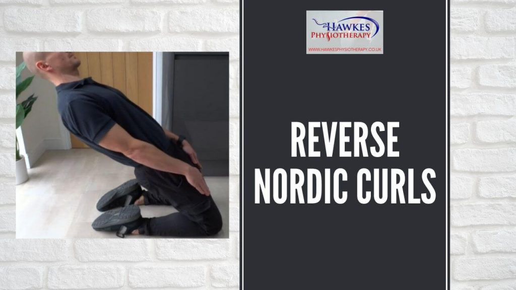 reverse-nordic-curls