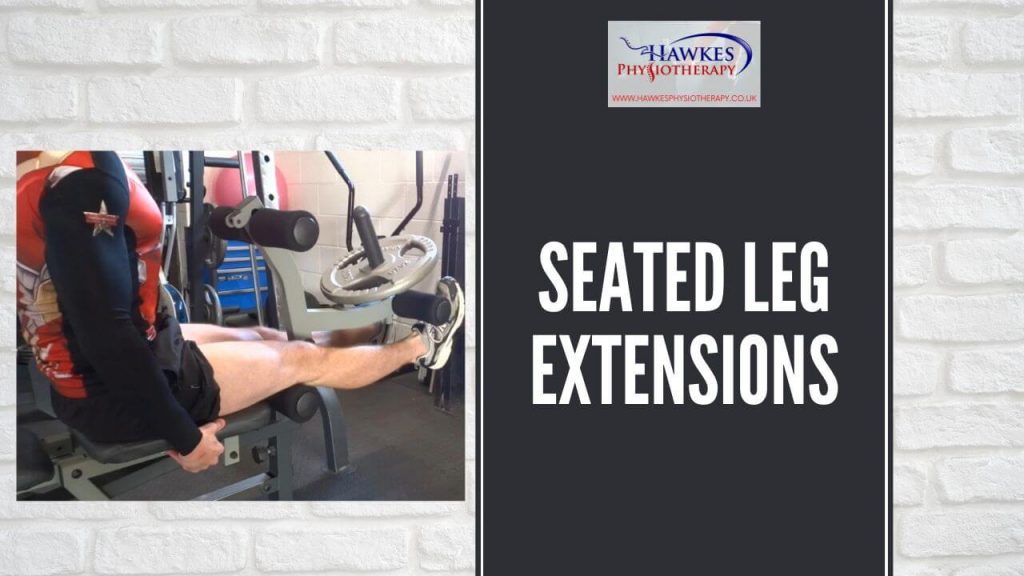 seated-leg-extensions