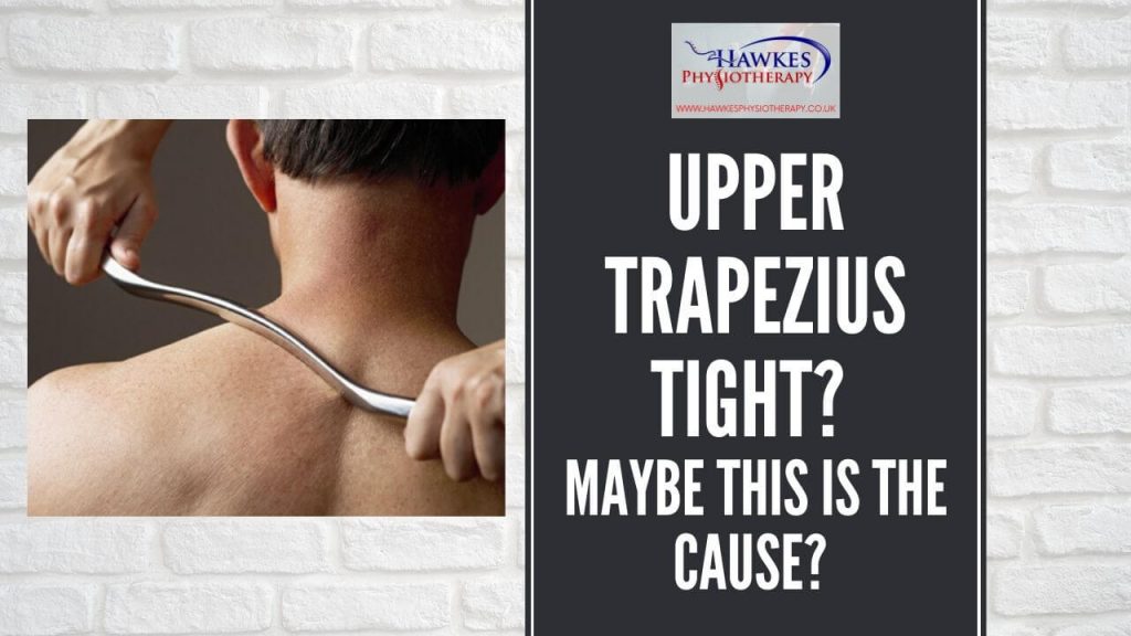 upper-trapezius-tight-maybe-this-is-the-cause-weak-serratus-anterior-and-lower-trapezius