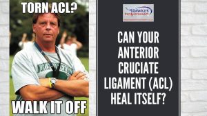 can-your-anterior-cruciate-ligament-acl-heal-itself