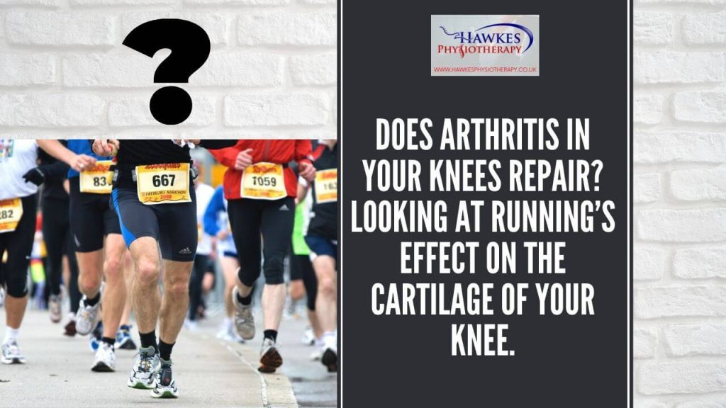 does-arthritis-in-your-knees-repair-looking-at-runnings-effect-on-the-cartilage-of-your-knee