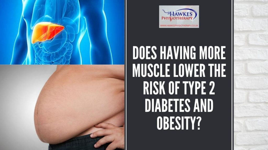 does-having-more-muscle-lower-the-risk-of-type-2-diabetes-and-obesity