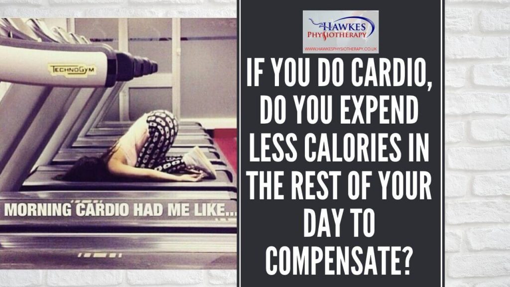 if-you-do-cardio-do-you-expend-less-calories-in-the-rest-of-your-day-to-compensate