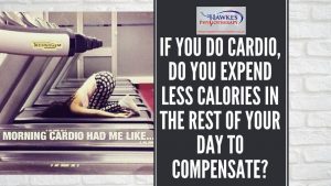 if-you-do-cardio-do-you-expend-less-calories-in-the-rest-of-your-day-to-compensate