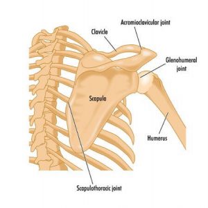 What is shoulder impingement syndrome? Is impingement normal or not?