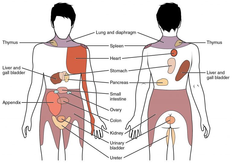 Referred pain, how can it hurt here, yet be coming from somewhere else?
