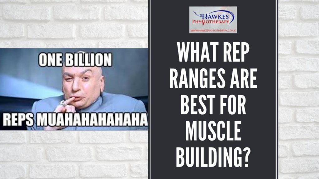 what-rep-ranges-are-best-for-muscle-building