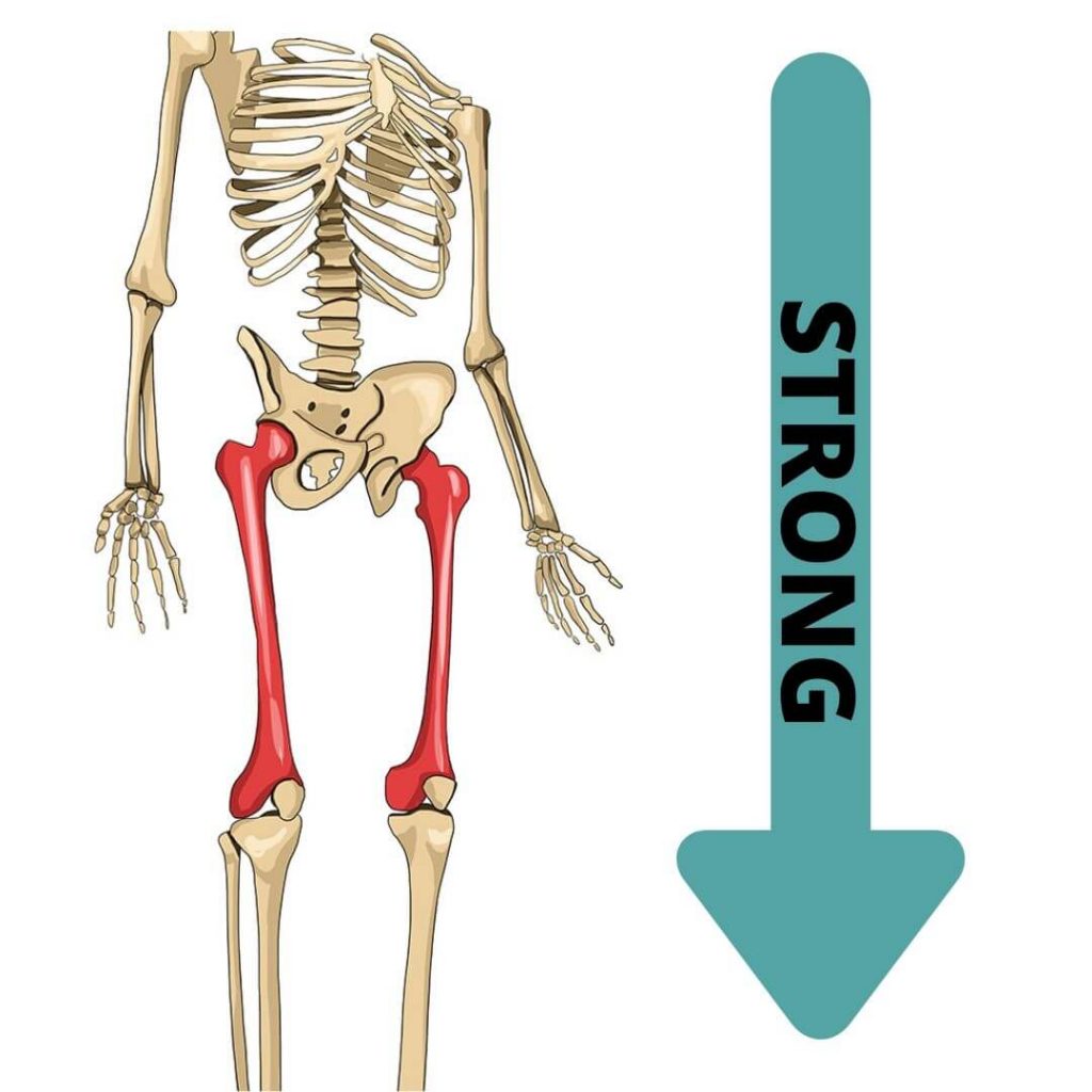 How strong is the human body? What loads can parts of the body take?