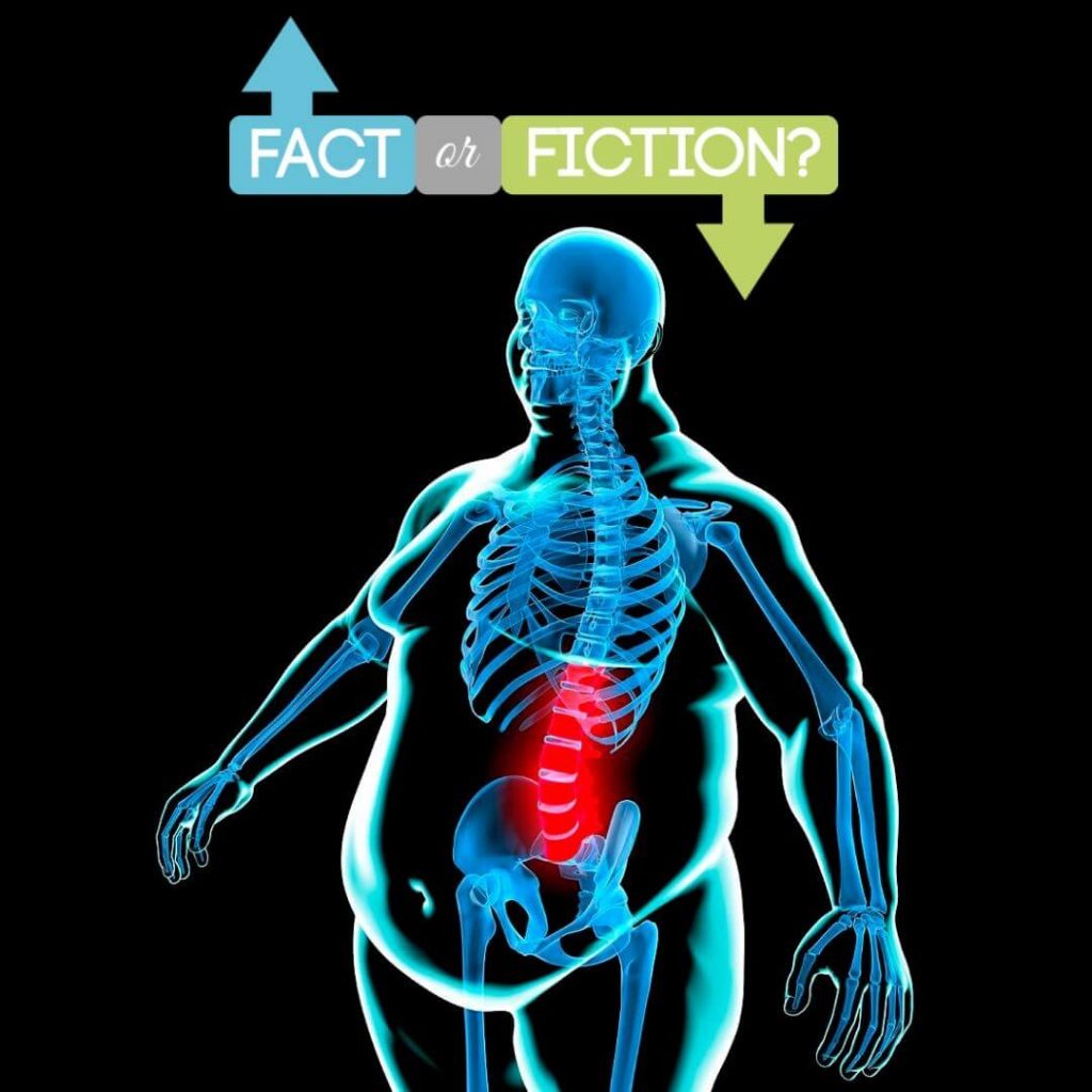 What causes and doesn't cause back pain?