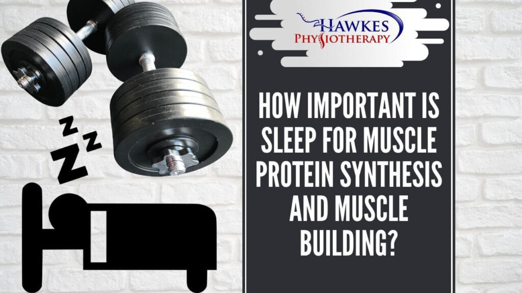 How important is sleep for muscle protein synthesis and muscle building?