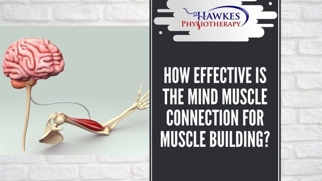 How effective is the mind muscle connection for muscle building?