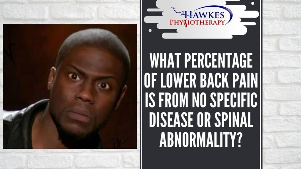 What percentage of lower back pain is from no specific disease or spinal abnormality?