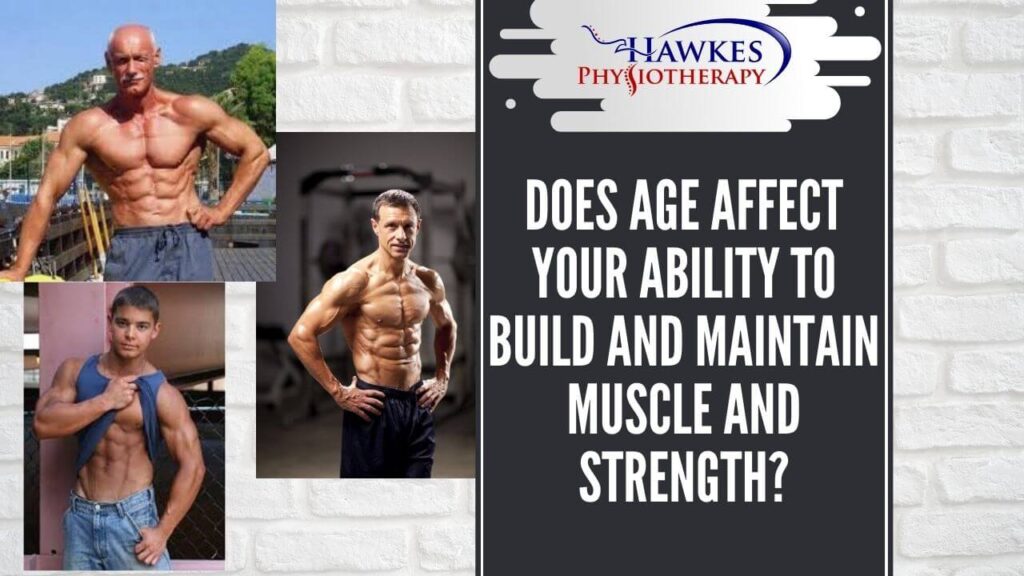 Does age affect your ability to build and maintain muscle and strength?