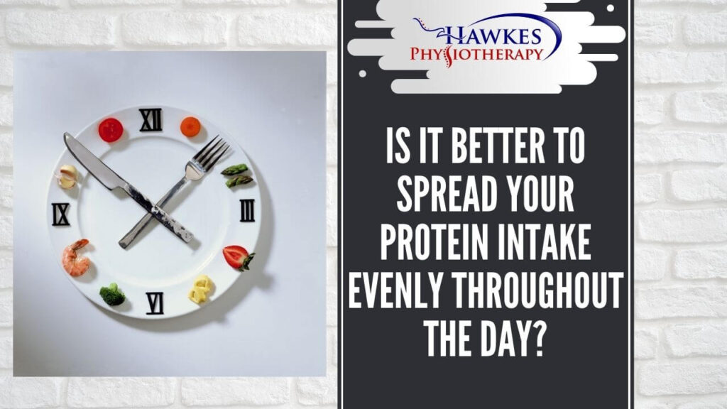 Is it better to spread your protein intake evenly throughout the day?