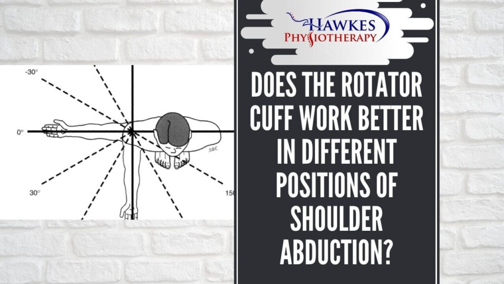 Does the Rotator cuff work better in different positions of shoulder abduction?