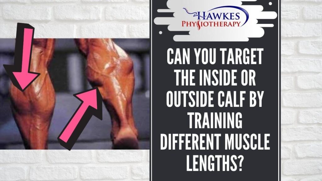 Can you target the inside or outside calf by training different muscle lengths?