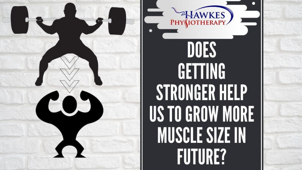 Does getting stronger help us to grow more muscle size in future?