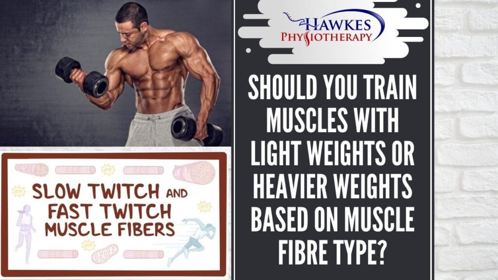 Should you train muscles with light weights or heavier weights based on muscle fibre type?