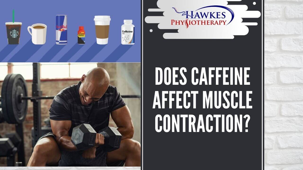 Does caffeine affect muscle contraction?